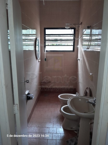 Imobiliária Ribeirão Preto - Plantel Imóveis - Chácara - Ribeirão Verde - Ribeirão Preto