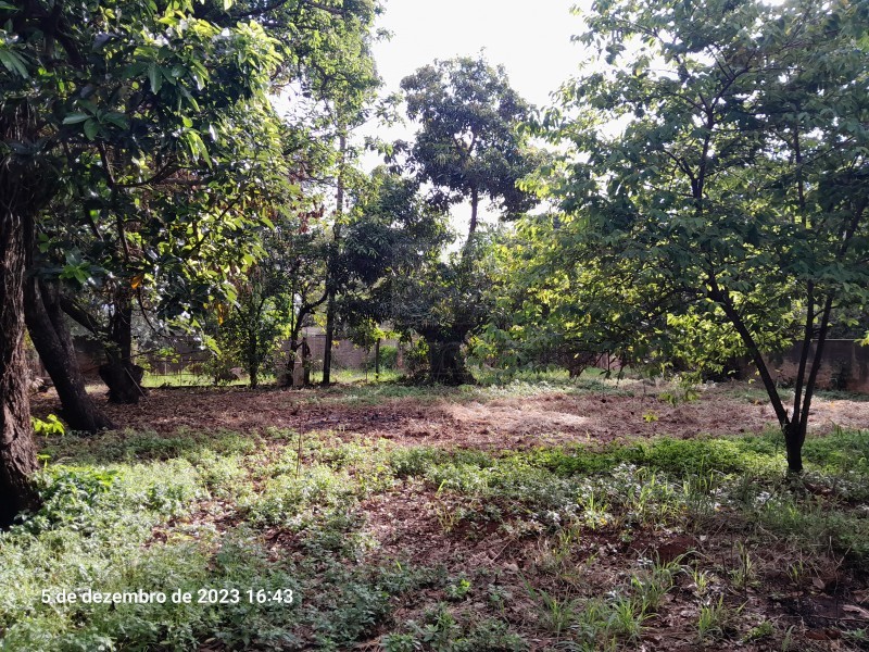 Imobiliária Ribeirão Preto - Plantel Imóveis - Chácara - Ribeirão Verde - Ribeirão Preto