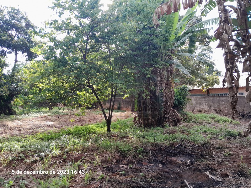 Imobiliária Ribeirão Preto - Plantel Imóveis - Chácara - Ribeirão Verde - Ribeirão Preto