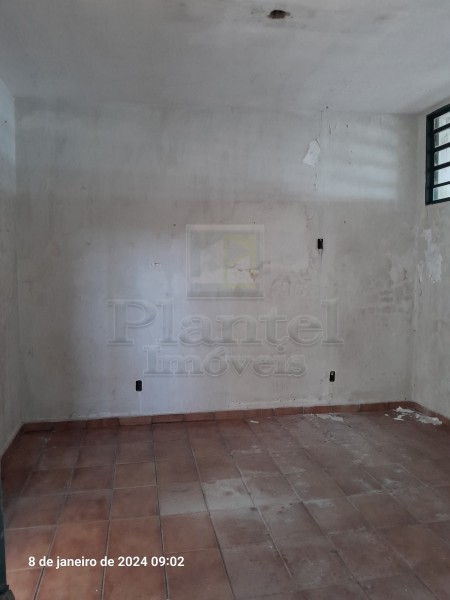 Imobiliária Ribeirão Preto - Plantel Imóveis - Casa Edícula - Vila Tibério - Ribeirão Preto