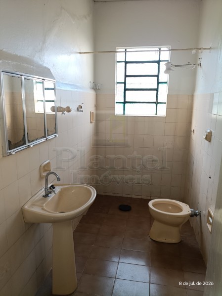 Imobiliária Ribeirão Preto - Plantel Imóveis - Casa - Centro - Ribeirão Preto