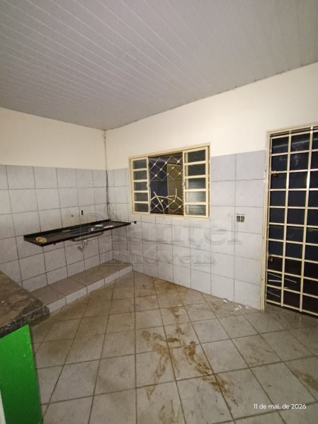 Imobiliária Ribeirão Preto - Plantel Imóveis - Salão Comercial - Vila Mariana - Ribeirão Preto