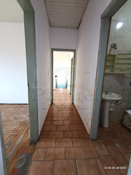 Imobiliária Ribeirão Preto - Plantel Imóveis - Casa - Vila Virgínia - Ribeirão Preto