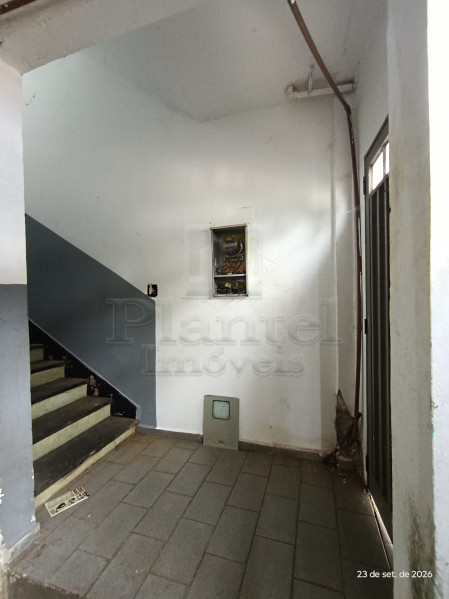 Imobiliária Ribeirão Preto - Plantel Imóveis - Casa - Vila Virgínia - Ribeirão Preto