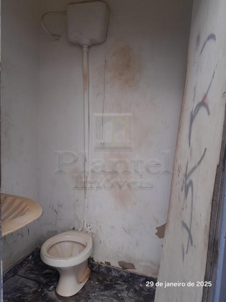 Imobiliária Ribeirão Preto - Plantel Imóveis - Comercial - Vila Elisa - Ribeirão Preto
