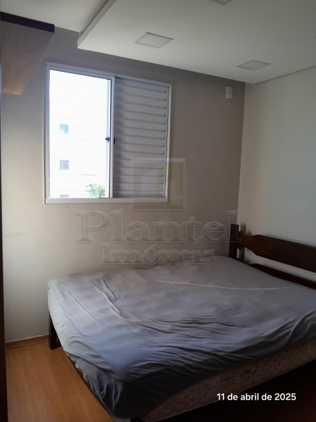Imobiliária Ribeirão Preto - Plantel Imóveis - Apartamento - Reserva Real - Ribeirão Preto