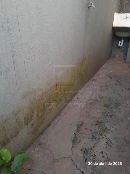 Imobiliária Ribeirão Preto - Plantel Imóveis - Casa - Campos Eliseos - Ribeirão Preto