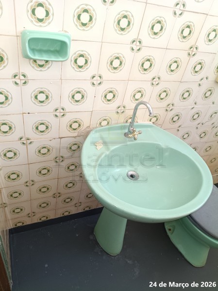 Imobiliária Ribeirão Preto - Plantel Imóveis - Casa - Vila Monte Alegre - Ribeirão Preto