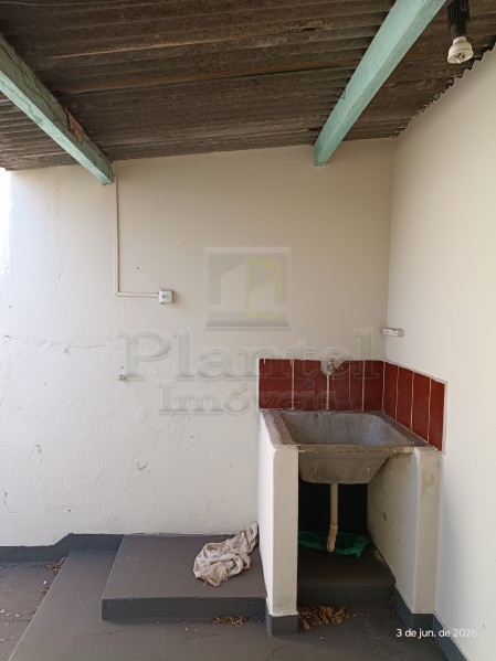 Imobiliária Ribeirão Preto - Plantel Imóveis - Casa - Vila Monte Alegre - Ribeirão Preto