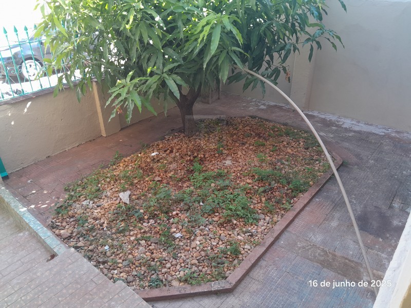 Imobiliária Ribeirão Preto - Plantel Imóveis - Comercial - Jardim Paulista - Ribeirão Preto
