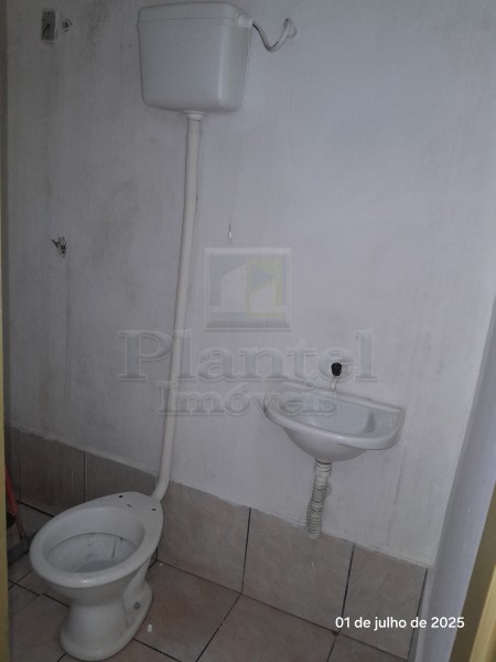 Imobiliária Ribeirão Preto - Plantel Imóveis - Casa - Vila Albertina - Ribeirão Preto