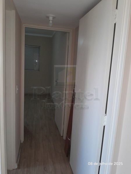 Imobiliária Ribeirão Preto - Plantel Imóveis - Apartamento - Centro - Ribeirão Preto