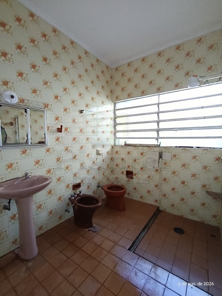 Imobiliária Ribeirão Preto - Plantel Imóveis - Apartamento - Centro - Ribeirão Preto