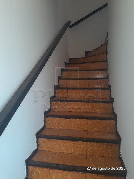 Imobiliária Ribeirão Preto - Plantel Imóveis - Casa - Vila Tibério - Ribeirão Preto