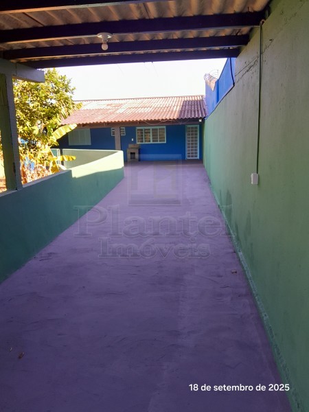 Imobiliária Ribeirão Preto - Plantel Imóveis - Casa - Avelino Alves Palma - Ribeirão Preto