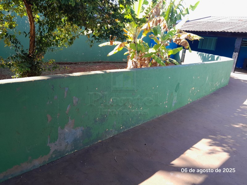 Imobiliária Ribeirão Preto - Plantel Imóveis - Casa - Avelino Alves Palma - Ribeirão Preto