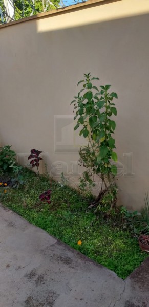 Imobiliária Ribeirão Preto - Plantel Imóveis - Casa - Planalto Verde - Ribeirão Preto