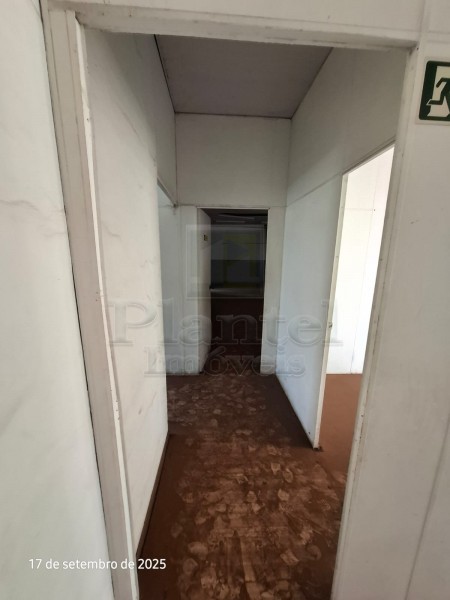 Imobiliária Ribeirão Preto - Plantel Imóveis - Salão Comercial - Centro - Ribeirão Preto