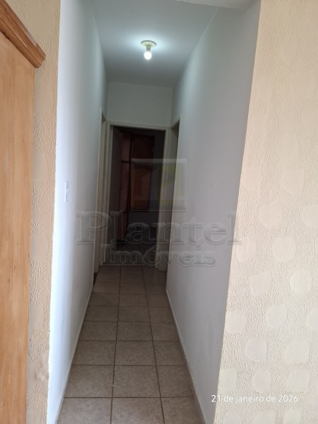 Imobiliária Ribeirão Preto - Plantel Imóveis - Apartamento - Centro - Ribeirão Preto