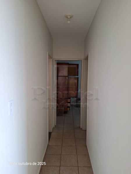 Imobiliária Ribeirão Preto - Plantel Imóveis - Apartamento - Centro - Ribeirão Preto