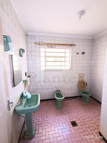 Imobiliária Ribeirão Preto - Plantel Imóveis - Casa - Vila Tibério - Ribeirão Preto