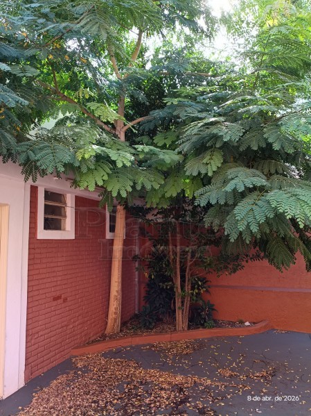 Imobiliária Ribeirão Preto - Plantel Imóveis - Casa - Jardim América - Ribeirão Preto