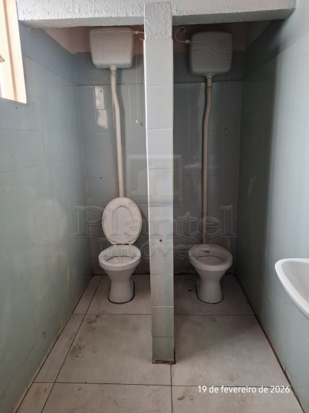 Imobiliária Ribeirão Preto - Plantel Imóveis - Salão Comercial - Vila Amélia - Ribeirão Preto