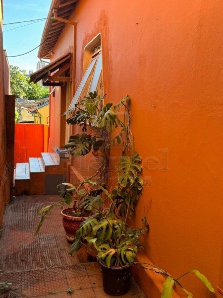 Imobiliária Ribeirão Preto - Plantel Imóveis - Casa - Campos Eliseos - Ribeirão Preto