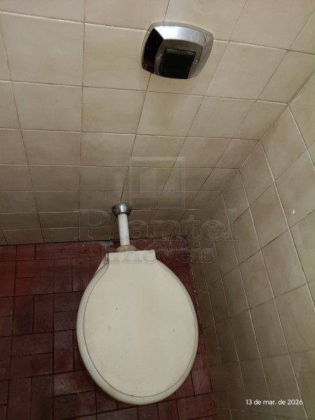 Imobiliária Ribeirão Preto - Plantel Imóveis - Salão Comercial - Campos Eliseos - Ribeirão Preto