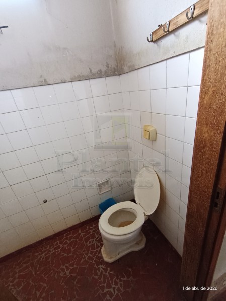 Imobiliária Ribeirão Preto - Plantel Imóveis - Casa - Jardim América - Ribeirão Preto