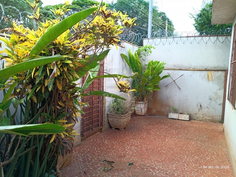 Imobiliária Ribeirão Preto - Plantel Imóveis - Casa - Jardim América - Ribeirão Preto