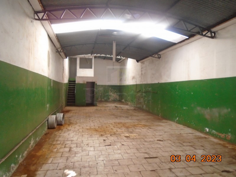 Imobiliária Ribeirão Preto - Plantel Imóveis - Salão Comercial - Campos Eliseos - Ribeirão Preto