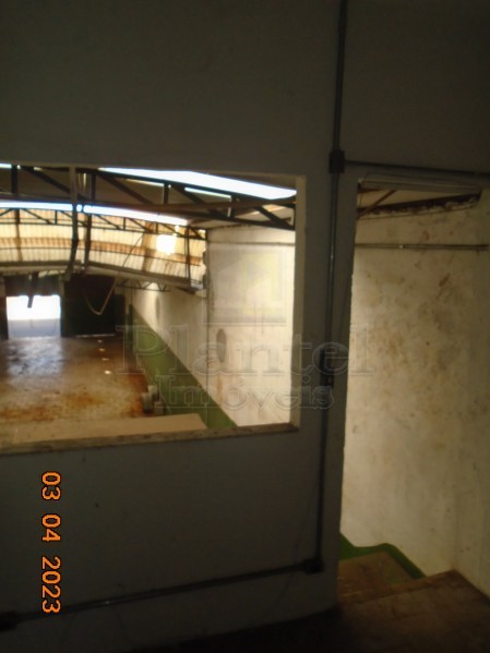 Imobiliária Ribeirão Preto - Plantel Imóveis - Salão Comercial - Campos Eliseos - Ribeirão Preto