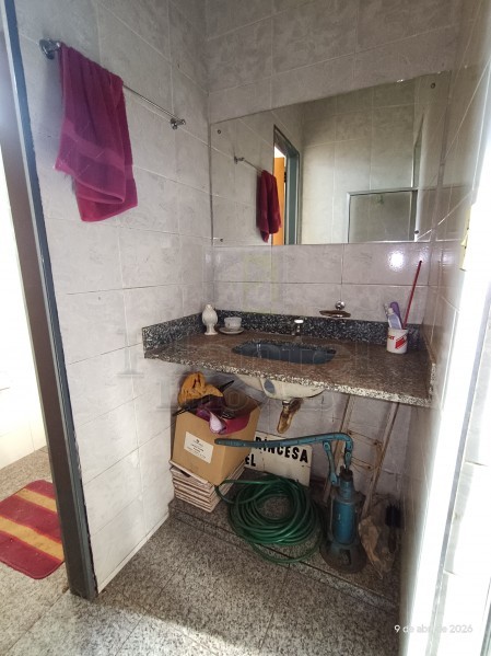 Imobiliária Ribeirão Preto - Plantel Imóveis - Salão Comercial - Vila Tamandaré - Ribeirão Preto