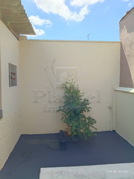 Imobiliária Ribeirão Preto - Plantel Imóveis - Casa - Vila Albertina - Ribeirão Preto