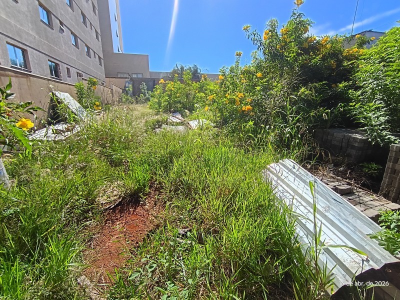 Terreno - Nova Ribeirânia - Ribeirão Preto