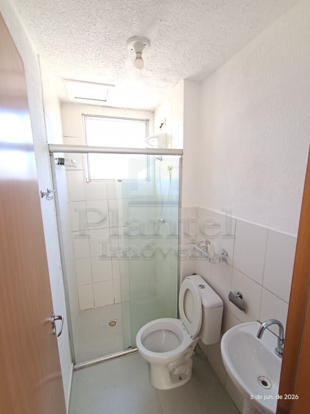 Imobiliária Ribeirão Preto - Plantel Imóveis - Apartamento - Manoel Penna - Ribeirão Preto