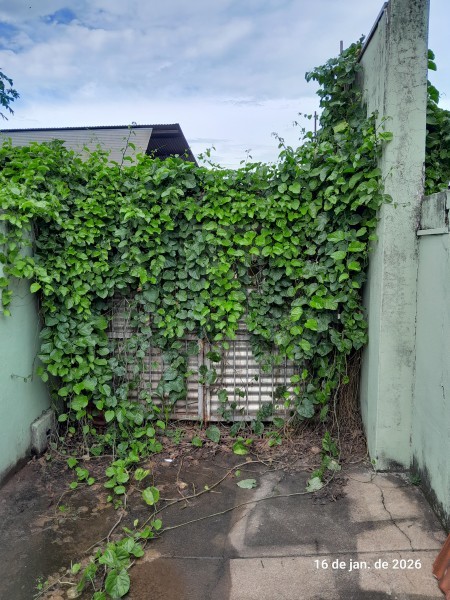 Imobiliária Ribeirão Preto - Plantel Imóveis - Casa - Vila Virgínia - Ribeirão Preto