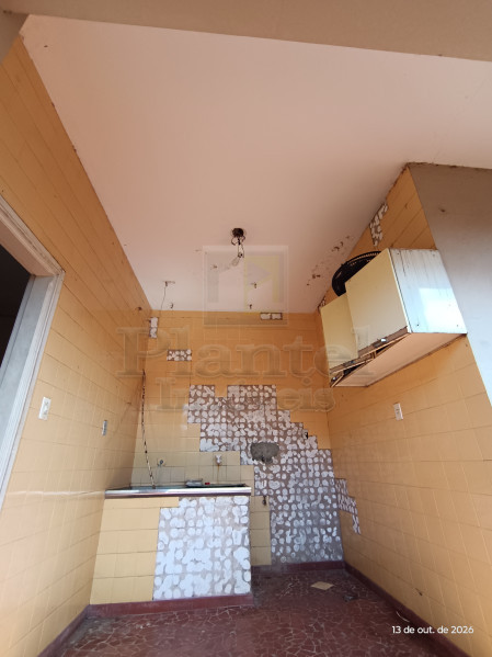 Imobiliária Ribeirão Preto - Plantel Imóveis - Casa - Campos Eliseos - Ribeirão Preto