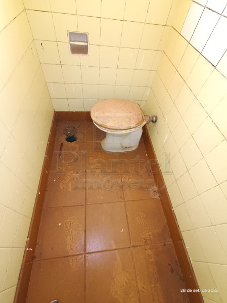 Imobiliária Ribeirão Preto - Plantel Imóveis - Sala Comercial - Centro - Ribeirão Preto