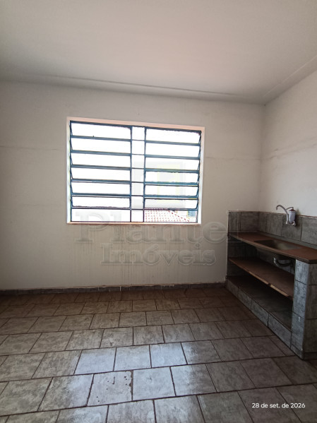 Imobiliária Ribeirão Preto - Plantel Imóveis - Sala Comercial - Centro - Ribeirão Preto
