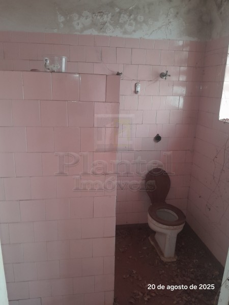 Imobiliária Ribeirão Preto - Plantel Imóveis - Casa - Jardim Sumaré - Ribeirão Preto