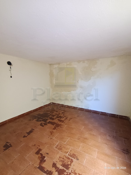 Imobiliária Ribeirão Preto - Plantel Imóveis - Casa - Centro - Ribeirão Preto