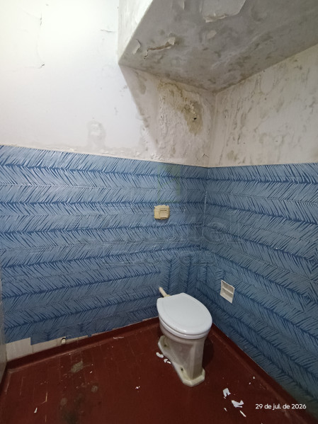 Imobiliária Ribeirão Preto - Plantel Imóveis - Casa - Centro - Ribeirão Preto