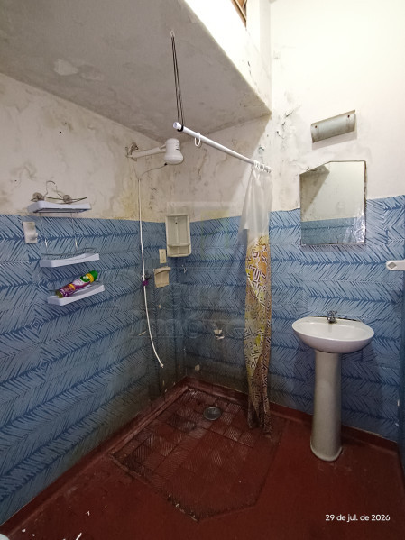 Imobiliária Ribeirão Preto - Plantel Imóveis - Casa - Centro - Ribeirão Preto
