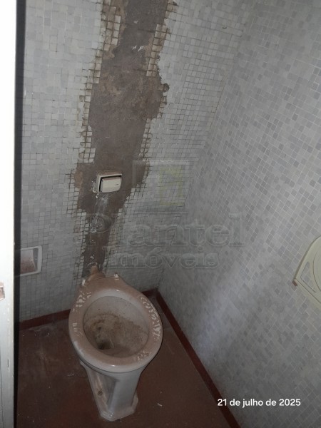 Imobiliária Ribeirão Preto - Plantel Imóveis - Sala Comercial - Centro - Ribeirão Preto