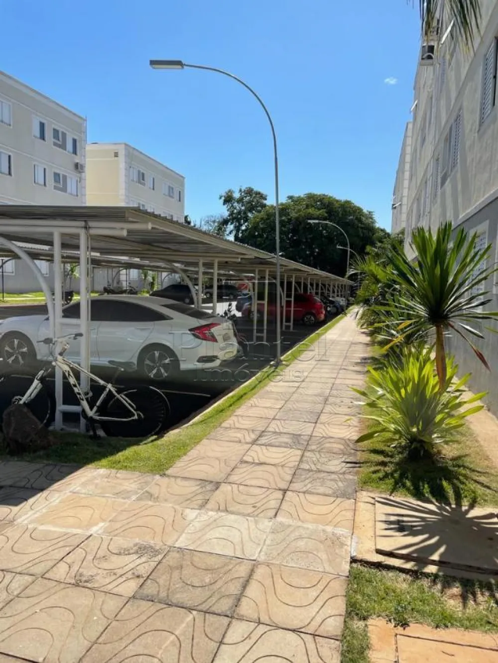 Apartamento - Jardim Silvio Passalacqua - Ribeirão Preto