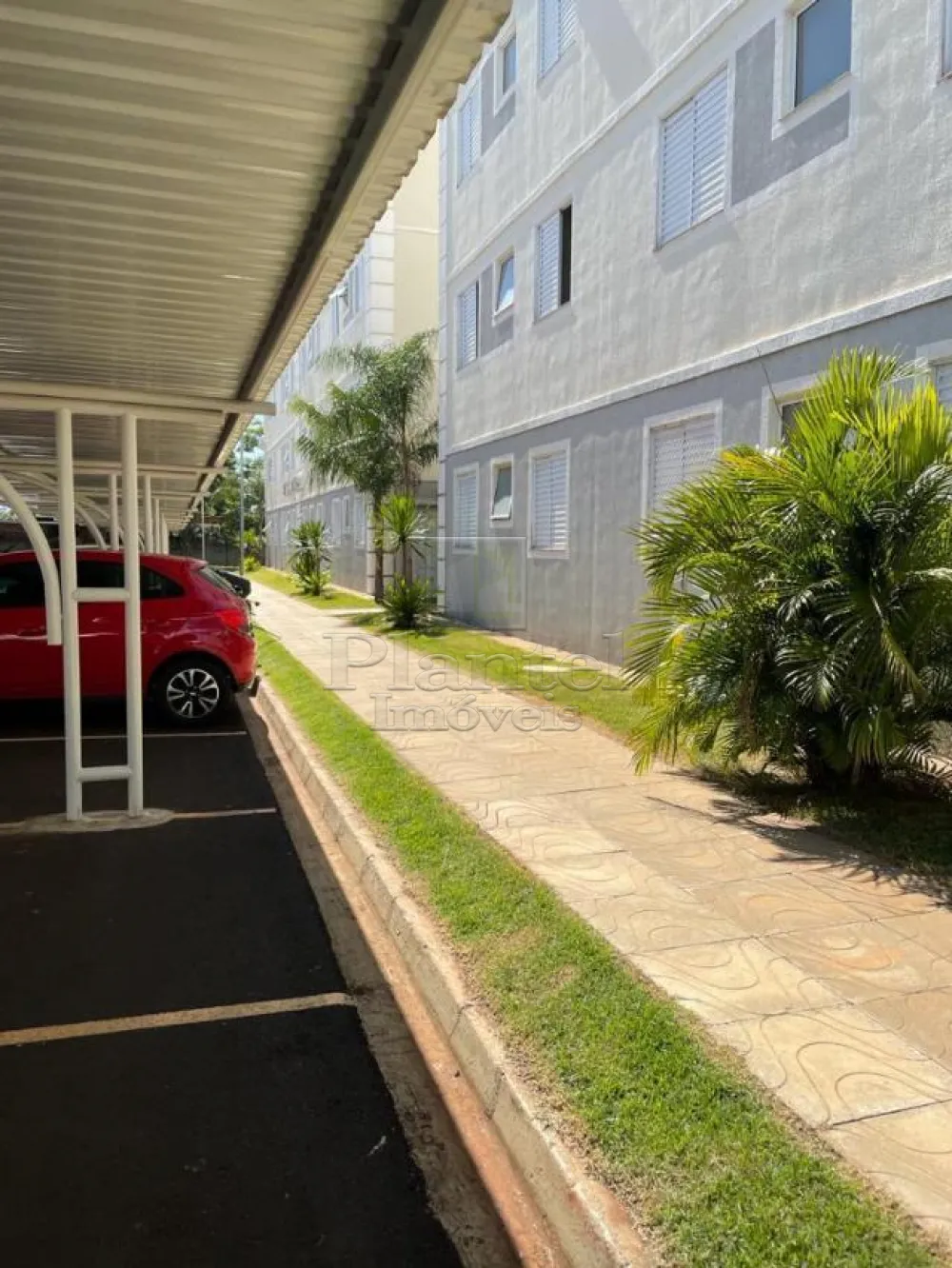 Imobiliária Ribeirão Preto - Plantel Imóveis - Apartamento - Jardim Silvio Passalacqua - Ribeirão Preto