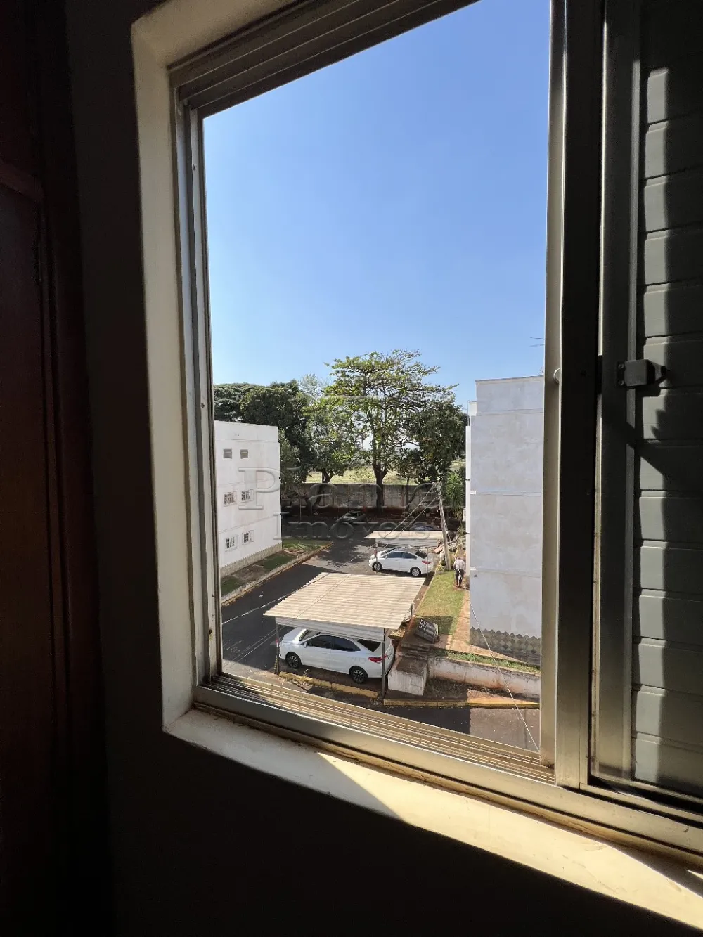 Imobiliária Ribeirão Preto - Plantel Imóveis - Apartamento - Jardim Independência - Ribeirão Preto
