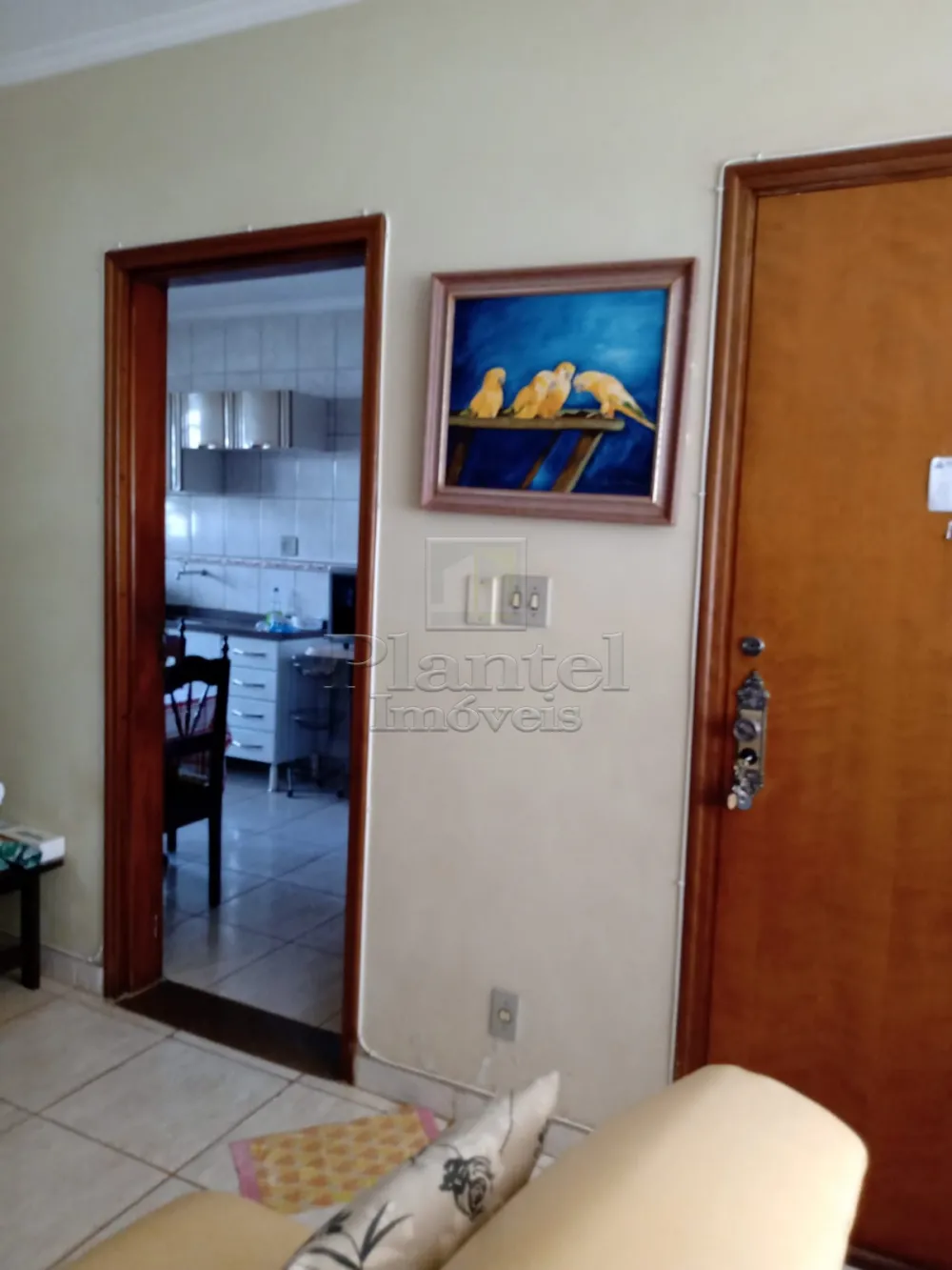 Imobiliária Ribeirão Preto - Plantel Imóveis - Apartamento - Jardim Paulista - Ribeirão Preto